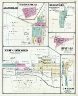 Adamsville, Bridgeville, Meigsville, New Concord, Rixville, Otsego, Muskingum County 1875